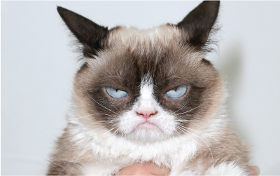 4 Tips for Handling Grumpy Cat Customers