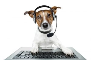Virtual Receptionist Dog Pet Grooming, telephone receptionist puppy, live call answering service dog