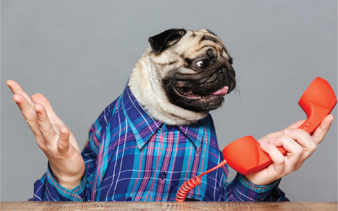 3 Reasons You Desperately Need Our Pet Answering Service